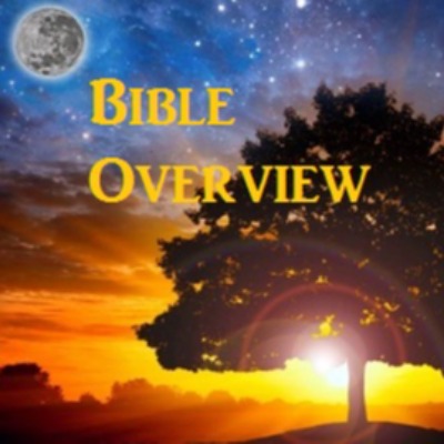 bible overview image small